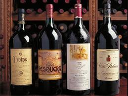Ribero Del Duero wine region