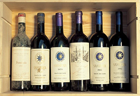 Tuscany wine region